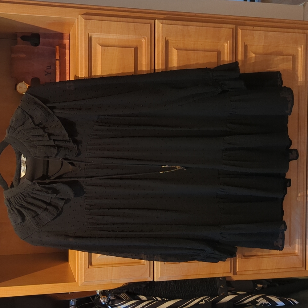 Zara long sleeve dress